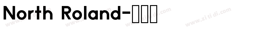 North Roland字体转换